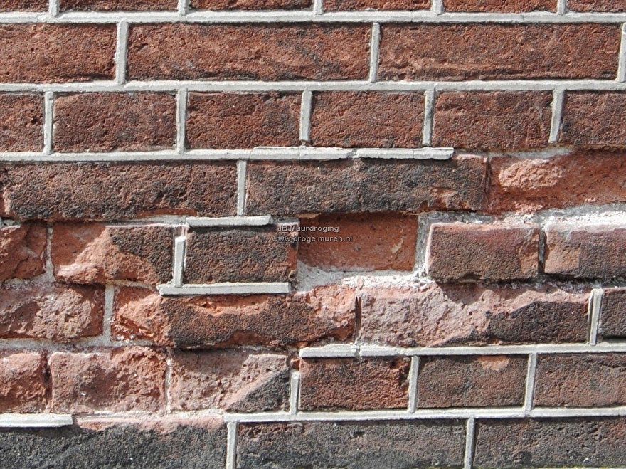 Vorstschade | JB Muurdroging